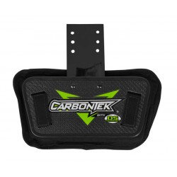 CarbonTek Kick Plate (back plate)