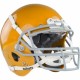 Casque SCHUTT AIR XP Pro VTDII old gold