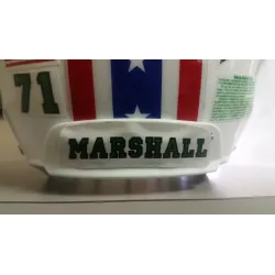 Autocollants pour casques, logos, stripes , tape, nose and back bumper