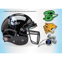 Autocollants pour casques, logos, stripes , tape, nose and back bumper