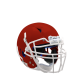 Casque SCHUTT Vengeance PRO LTD 2044