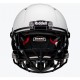 Casque Riddell Speed Icon personnalisé