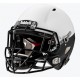 Casque Riddell Speed Icon personnalisé