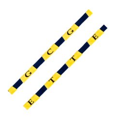 JAMBO O/D Line-up Marker