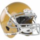 Casque SCHUTT AIR XP Pro VTDII south bend gold